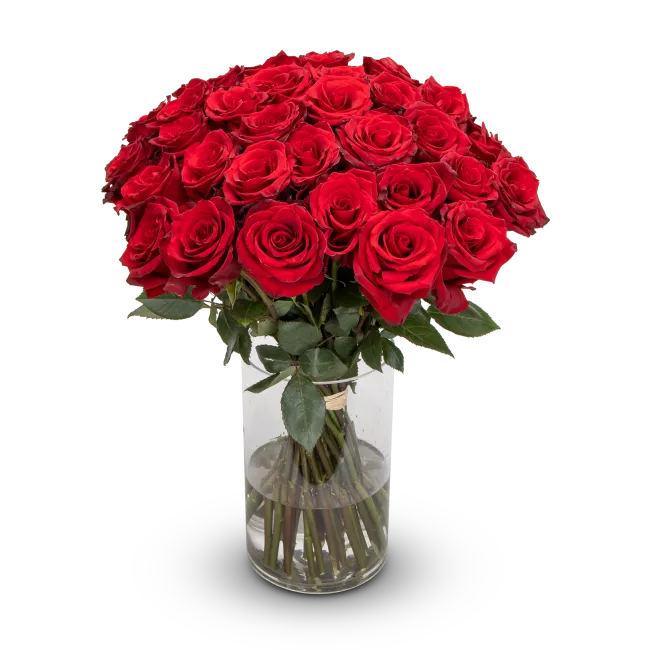 Kytice rudých růží